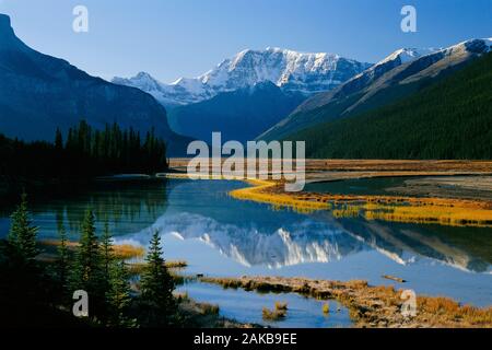 Monte Kitchener, Jasper National Park, Alberta, Canada Foto Stock