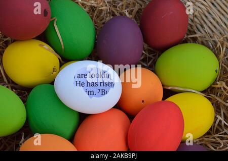 Bianco luminoso con Uova con guscio rotto e il passaggio della bibbia che egli è risorto all'interno tra molti multicolori uova di Pasqua Foto Stock