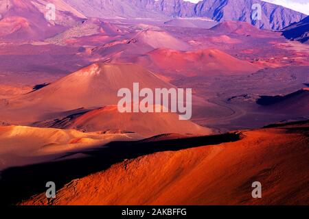 Paesaggio con i coni di scorie, Haleakala National Park, Maui, Hawaii, STATI UNITI D'AMERICA Foto Stock