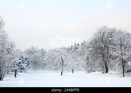 Beijing, Pechino, Cina. Gen 8, 2020. Pechino, Cina-anuary 7, 2020, Pechino, la prima neve del 2020, neve in una comunità e Orson park.(solo uso editoriale. Cina fuori)J Credito: SIPA Asia/ZUMA filo/Alamy Live News Foto Stock