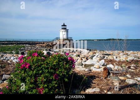 La luce Breakwater di Portland (chiamata anche luce di bug) è una piccola luce Foto Stock