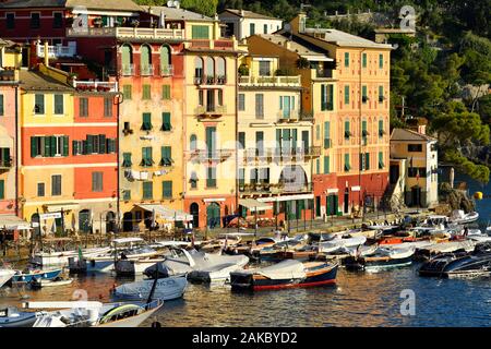 L'Italia, Liguria, Riviera ligure, il parco naturale di Portofino, il villaggio di Portofino Foto Stock