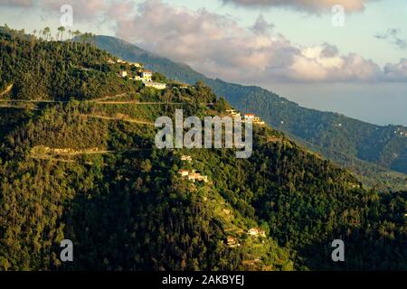 L'Italia, Liguria, provincia della Spezia, il Parco Nazionale delle Cinque Terre, elencato come patrimonio mondiale dall UNESCO, Manarola Village e il vigneto Foto Stock