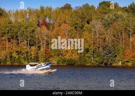 Canada, provincia del Québec, Regione Mauricie, volo con Hydravion avventura in estate indiana stagione, lo sbarco sul fiume Saint-Maurice con un de Havilland Canada DHC-2, noto anche come il castoro (vista aerea) Foto Stock