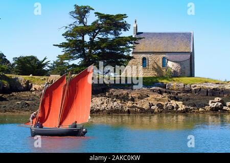 Francia, Morbihan, il Golfo di Morbihan, Sene, la barca La Vieille Dame di fronte all'Isola Boedic cappella Foto Stock