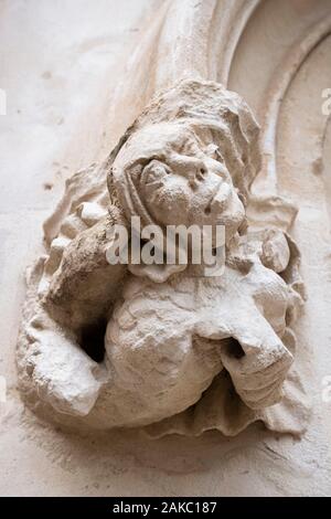 Francia, Oise, Beauvais, MUDO &#x2013; Musée de l'Oise, Museo del dipartimento Oise nell'ex del XII secolo il palazzo vescovile Foto Stock