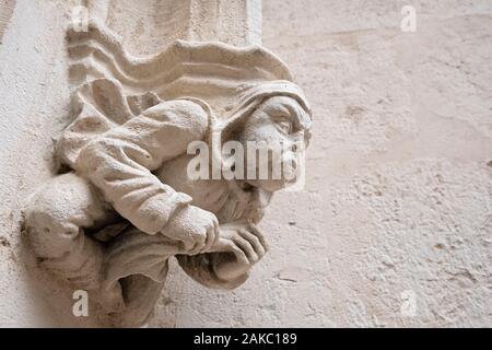 Francia, Oise, Beauvais, MUDO &#x2013; Musée de l'Oise, Museo del dipartimento Oise nell'ex del XII secolo il palazzo vescovile Foto Stock