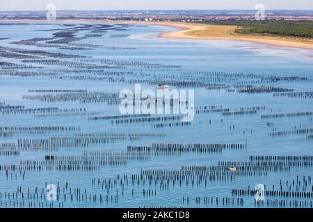 Francia, Vendee, La Faute sur Mer, le cozze barche in mitilicoltura (vista aerea) Foto Stock