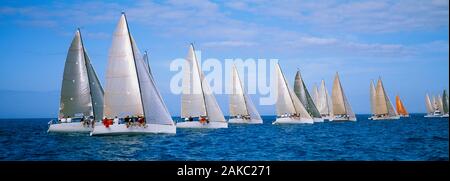 Yachts racing in oceano, Key West, Florida, Stati Uniti d'America Foto Stock