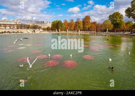 Francia, Parigi, Giardino delle Tuileries, FIAC OFF 2019, Noel Dolla, Post diluvio ninfee, 500 ombrelloni nel bacino Foto Stock