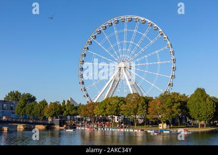 Canada, Provincia di Quebec, Montreal Vecchia Montreal, Porto Vecchio, porta ruota panoramica Ferris, Bonsecours bacino e pedalò Foto Stock