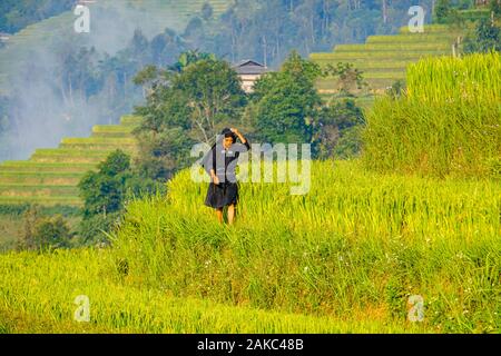 Il Vietnam, Ha Giang, Hoang Su Phi, donna di La Chi erthnic gruppo tra i campi di riso in terrazza Foto Stock