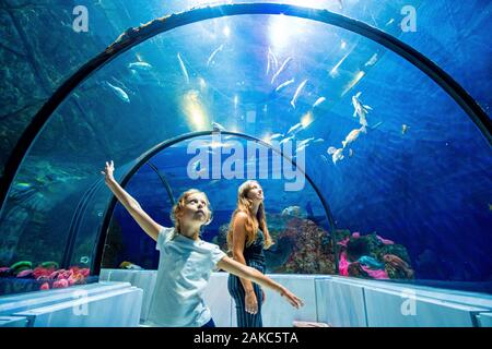 Canada, Provincia di Quebec Quebec, Acquario di Quebec, il tunnel degli squali Foto Stock