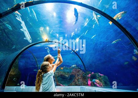 Canada, Provincia di Quebec Quebec, Acquario di Quebec, il tunnel degli squali Foto Stock