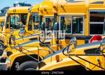 Canada, Provincia di Ontario, scuola bus Foto Stock
