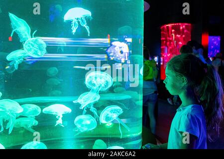 Canada, Provincia di Quebec Quebec, l'Acquario del Québec, il nuovo Padiglione di Medusa Foto Stock