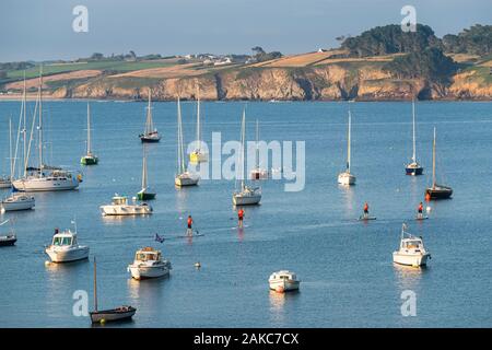 Francia, Finisterre, DOUARNENEZ, Stand up paddleboarding in Douarnenez Bay Foto Stock