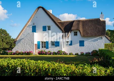 Francia, Loire-Atlantique, Briere Parco Naturale Regionale, Saint-Lyphard, borgo Breca Foto Stock