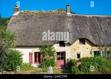 Francia, Loire-Atlantique, Briere Parco Naturale Regionale, Saint-Lyphard, borgo Breca Foto Stock