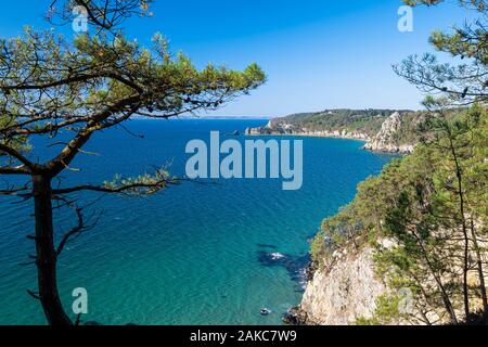 Francia, Finisterre, Armorica Parco Naturale Regionale, Crozon penisola, la costa vicino a Morgat Foto Stock