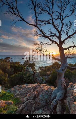 Francia, Var, Corniche de l'Esterel o corniche d'Or, Saint Raphael, Ile d'o visto dal cappuccio du Dramont Foto Stock