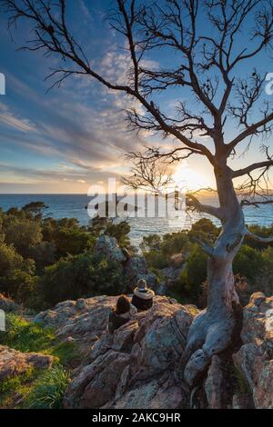 Francia, Var, Corniche de l'Esterel o corniche d'Or, Saint Raphael, Ile d'o visto dal cappuccio du Dramont Foto Stock