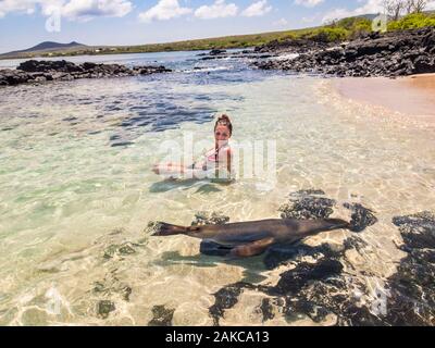 Ecuador, Galápagos arcipelago, elencato come patrimonio mondiale dall UNESCO, Santa Maria (isola Floreana), piscina con Galápagos leoni di mare (Zalophus wollebaeki) Foto Stock