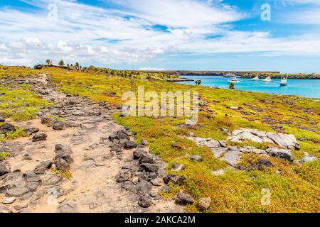 Ecuador, Arcipelago delle Galapagos, classificato come patrimonio mondiale dall UNESCO, Isola di Santa Cruz, Plaza Sud Isola Foto Stock