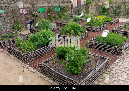 Francia, Morbihan, Josselin, città medievale, giardino medievale creato rue des Douves-d'Argent Foto Stock