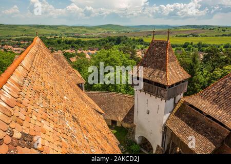 La Romania, Contea di Timis, Sânnicolau Mare, chiesa fortificata Foto Stock