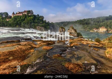 Cascate del Reno vicino a Shaffhausen per giorno, Svizzera Foto Stock