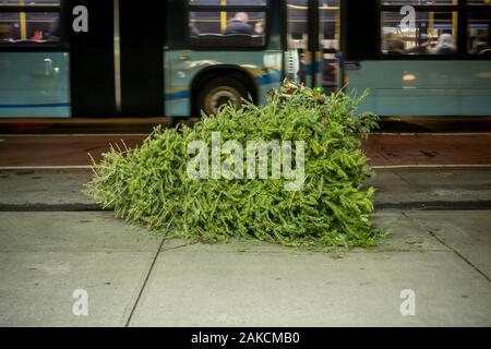 Un povero, solitario, scartato albero di Natale è visto al di fuori di un edificio di appartamenti a New York venerdì 3 gennaio, 2020. Il Dipartimento di Igiene offre marciapiede pick-up di scartati alberi con tinsel e decorazioni rimosso. (© Richard B. Levine) Foto Stock