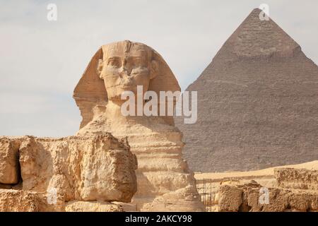 Vista frontale della testa della Sfinge e piramide di Khafre (Chephren) vicino a città del Cairo, Egitto Foto Stock