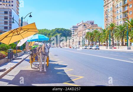 MALAGA, Spagna - 26 settembre 2019: la carrozza trainata da cavalli attende i turisti in Piazza Marina, il 26 settembre a Malaga Foto Stock