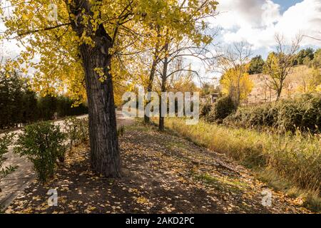 Valladolid, Spagna. Uno dei destini di chiuse (numero 42) del Canal de Castilla (Canal di Castiglia), costruito nel XVIII secolo Foto Stock