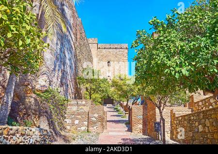 La alberi di arancio vicolo lungo il bastione di Alcazaba fortezza conduce alla Torre del Cristo e Nasrid palace, Malaga, Spagna Foto Stock