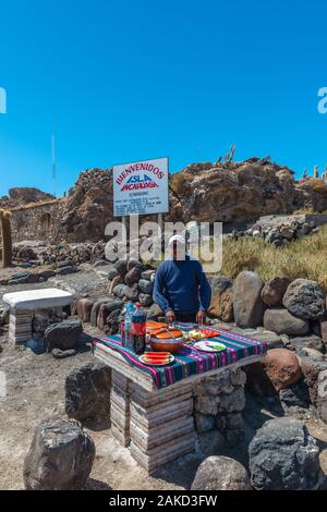 Isla Incahuasi in tne Saltlake Salar de Uyuni, Dipartimento Potosi, Southwest Bolivia, America Latina Foto Stock