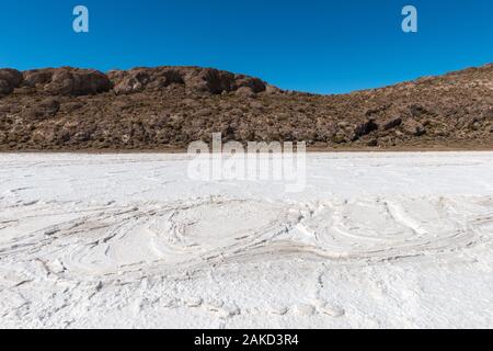 Isla Pia Pia o Pia Pia isola, Saltlake Salar de Uyuni, Dipartimento Potosi, Southwest Bolivia, America Latina Foto Stock