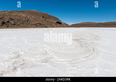 Isla Pia Pia o Pia Pia isola, Saltlake Salar de Uyuni, Dipartimento Potosi, Southwest Bolivia, America Latina Foto Stock