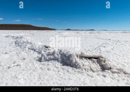 Isla Pia Pia o Pia Pia isola, Saltlake Salar de Uyuni, Dipartimento Potosi, Southwest Bolivia, America Latina Foto Stock