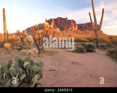 Vista al tramonto della Superstition Mountain vicino a Apache Junction, Arizona e la Tonto National Forest. Foto Stock