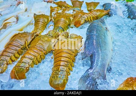 Pesce fresco e aragoste su ghiaccio sulla vetrina del ristorante in Bangla mercato, Patong Beach, Phuket, Tailandia Foto Stock