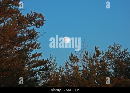 Luna piena vista durante il giorno Foto Stock