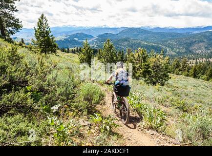 Una donna di equitazione Buck sentiero di montagna fuori Winthrop, Washington alle pendici dei monti Cascade, Washington, Stati Uniti d'America. Foto Stock
