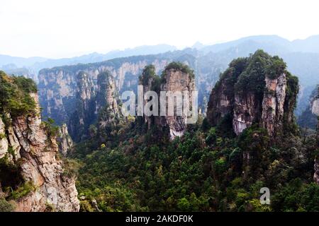 Parco forestale nazionale di Zhangjiajie a Hunan, Cina. Foto Stock