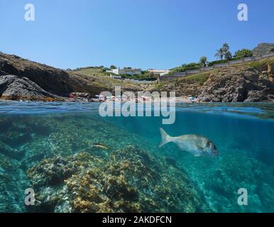 Spiaggia sulla costa rocciosa in estate con pesce subacquea, vista suddivisa, mare Mediterraneo, in Spagna, in Costa Brava Catalogna, El Port de la Selva Foto Stock