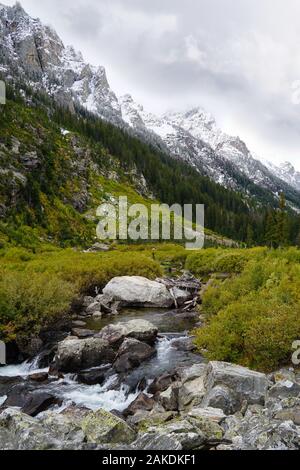 Un bel ruscello attraversa una valle nelle Teton con cime innevate e colori autunnali. Foto Stock