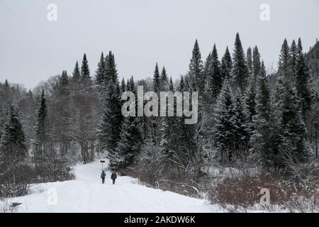 Due persone escursione sulla neve presso il Parc National de la Jacques-Cartier, Québec, Canada Foto Stock