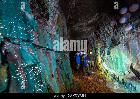 28 novembre 2019, Sassonia-Anhalt, Sangerhausen: Thomas Wäsche (secondo da destra), guida del tour spiega a un gruppo in un'escursione attraverso il reed Wettelrode albero nel cosiddetto 'Green Vault' come la sinterizzazione sulle pareti di galleria si verifica. Poiché l'albero è stato abbandonato nel 1885, permanentemente acqua fluente ha minerali sciolti dal calcare, che forma una crosta sulle pareti. La tavolozza dei colori varia da forti tonalità marrone al bianco, verde turchese blu e nero. Per circa venti anni il museo "ErlebnisZentrum Bergbau Röhrigschacht Wettelrode' è stata offerta di escursioni più unde Foto Stock