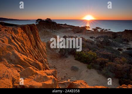 Tramonto a Broken Hill, Torrey Pines State Reserve, La Jolla, California Foto Stock